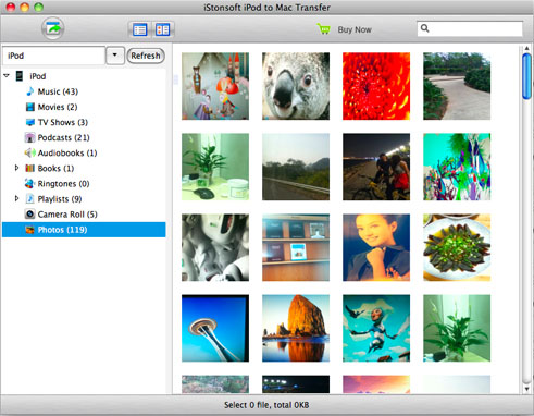 how to download pictures from ipod to mac